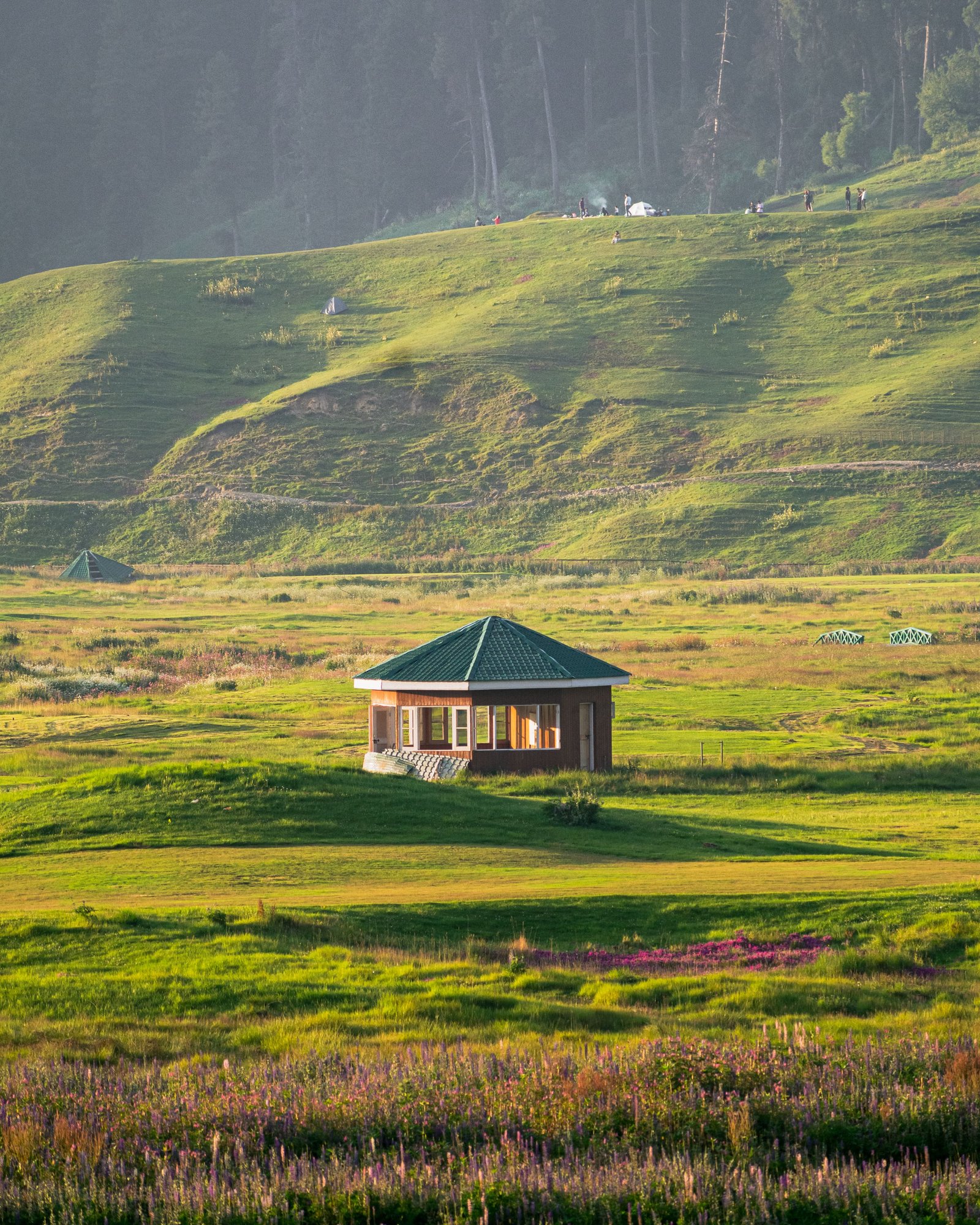 Pahalgam Valleys photo 1