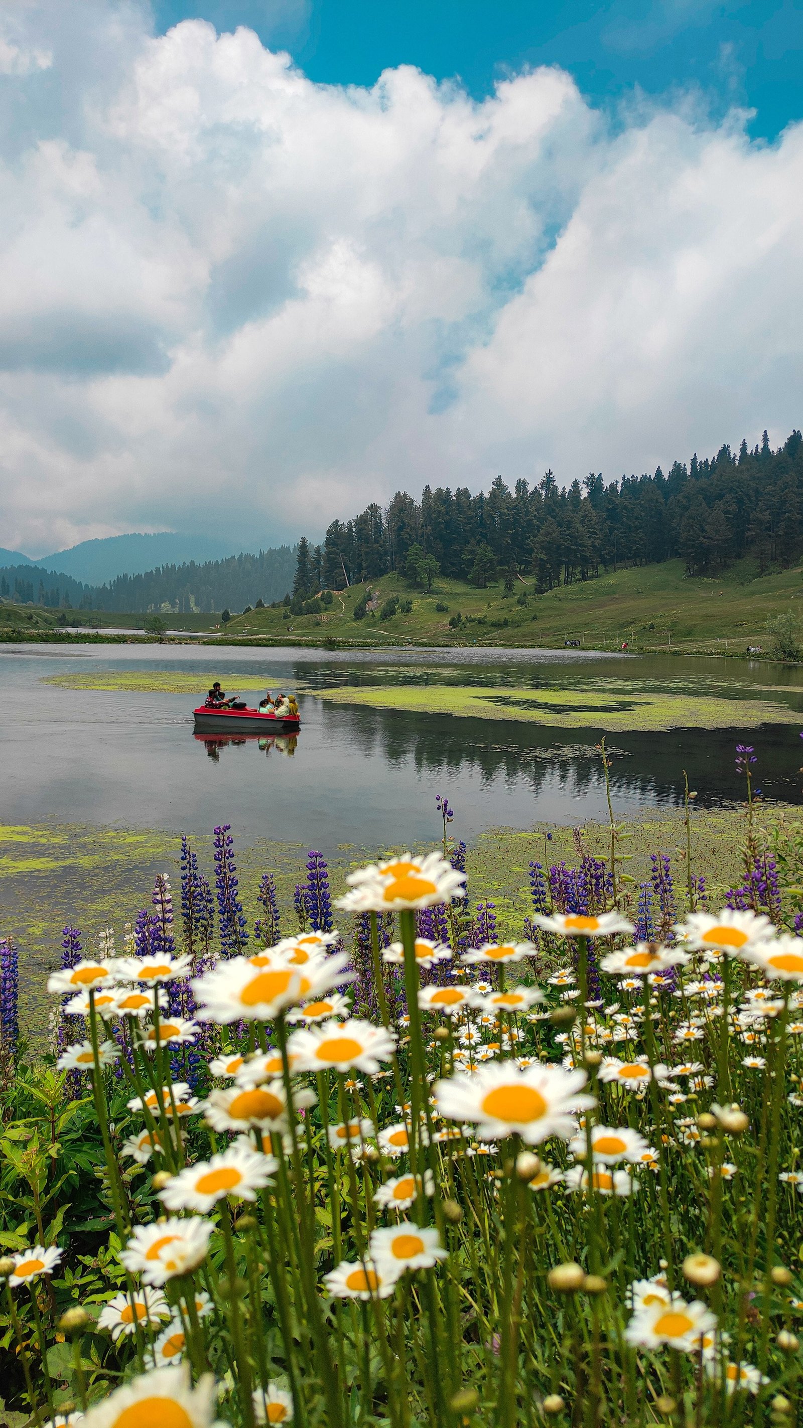 Pahalgam Valleys photo 1