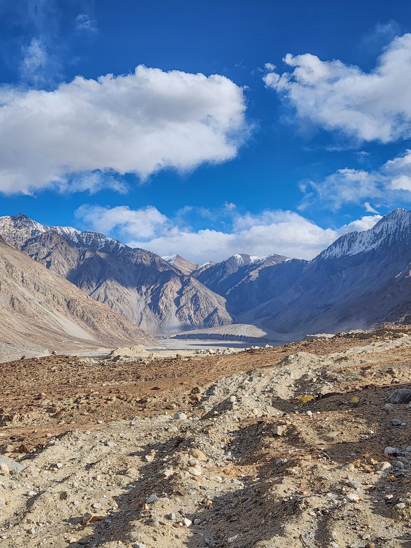 Chilling and Leh Return photo 2