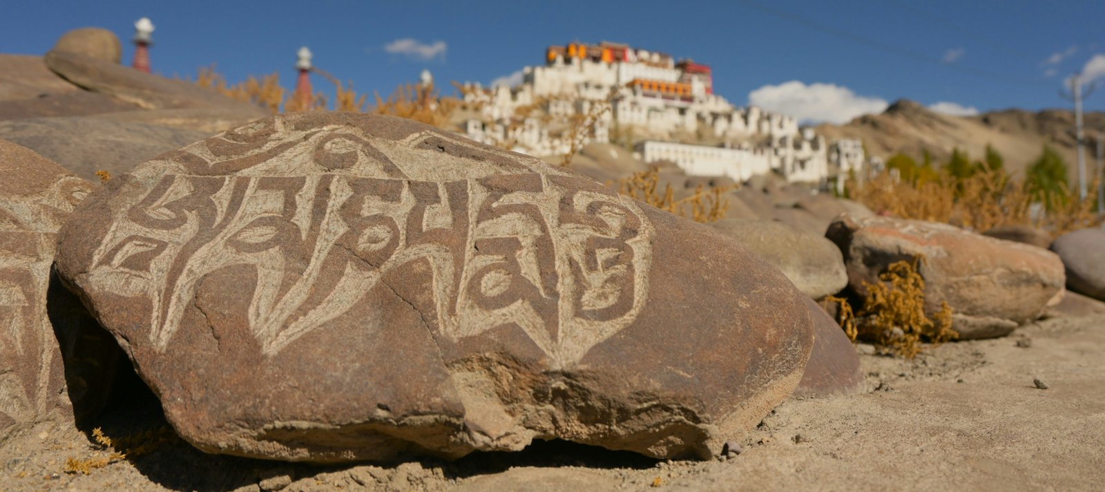 Leh Arrival and Gentle Acclimatisation photo 2