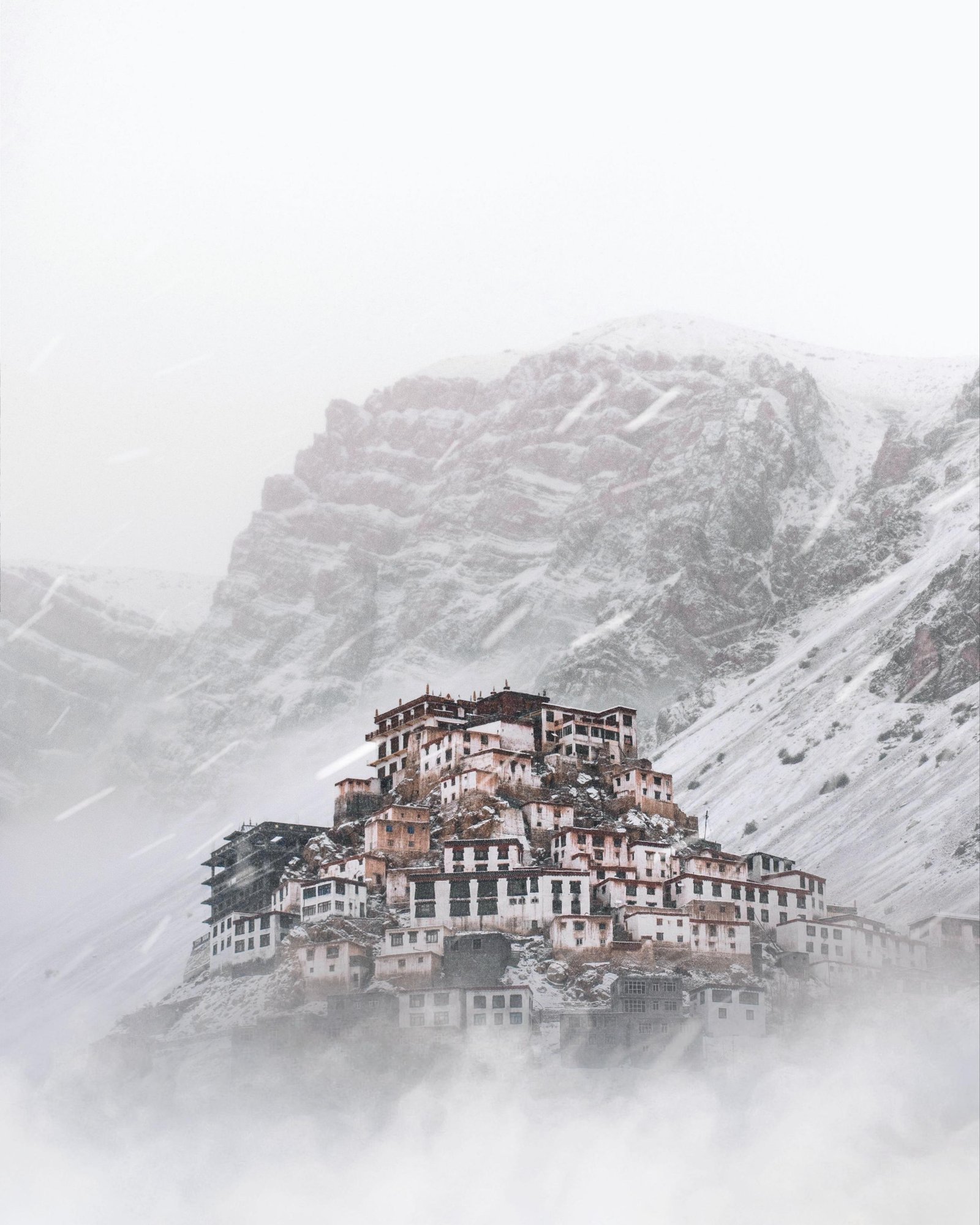 Kaza High Villages photo 1
