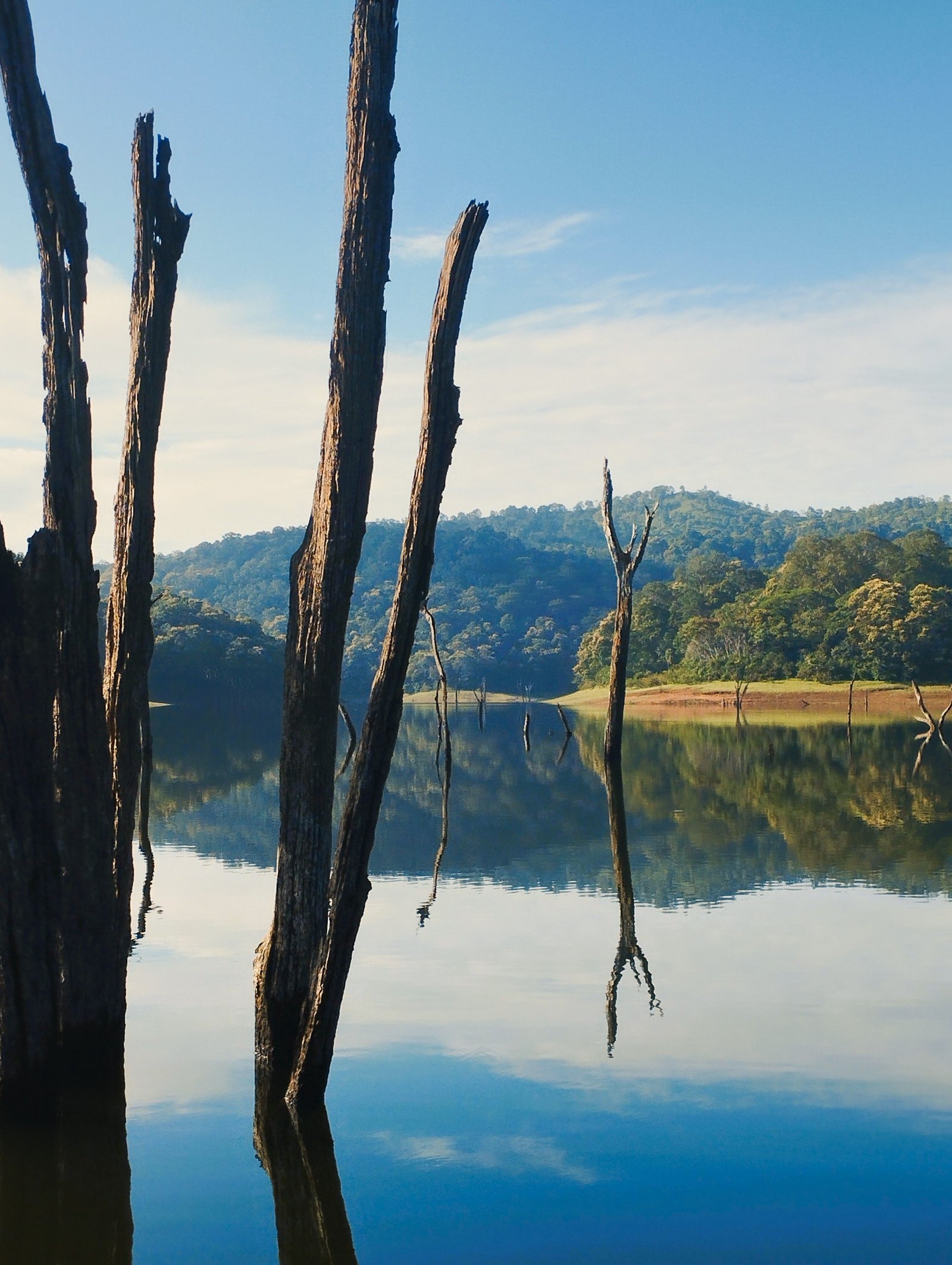 Munnar to Thekkady