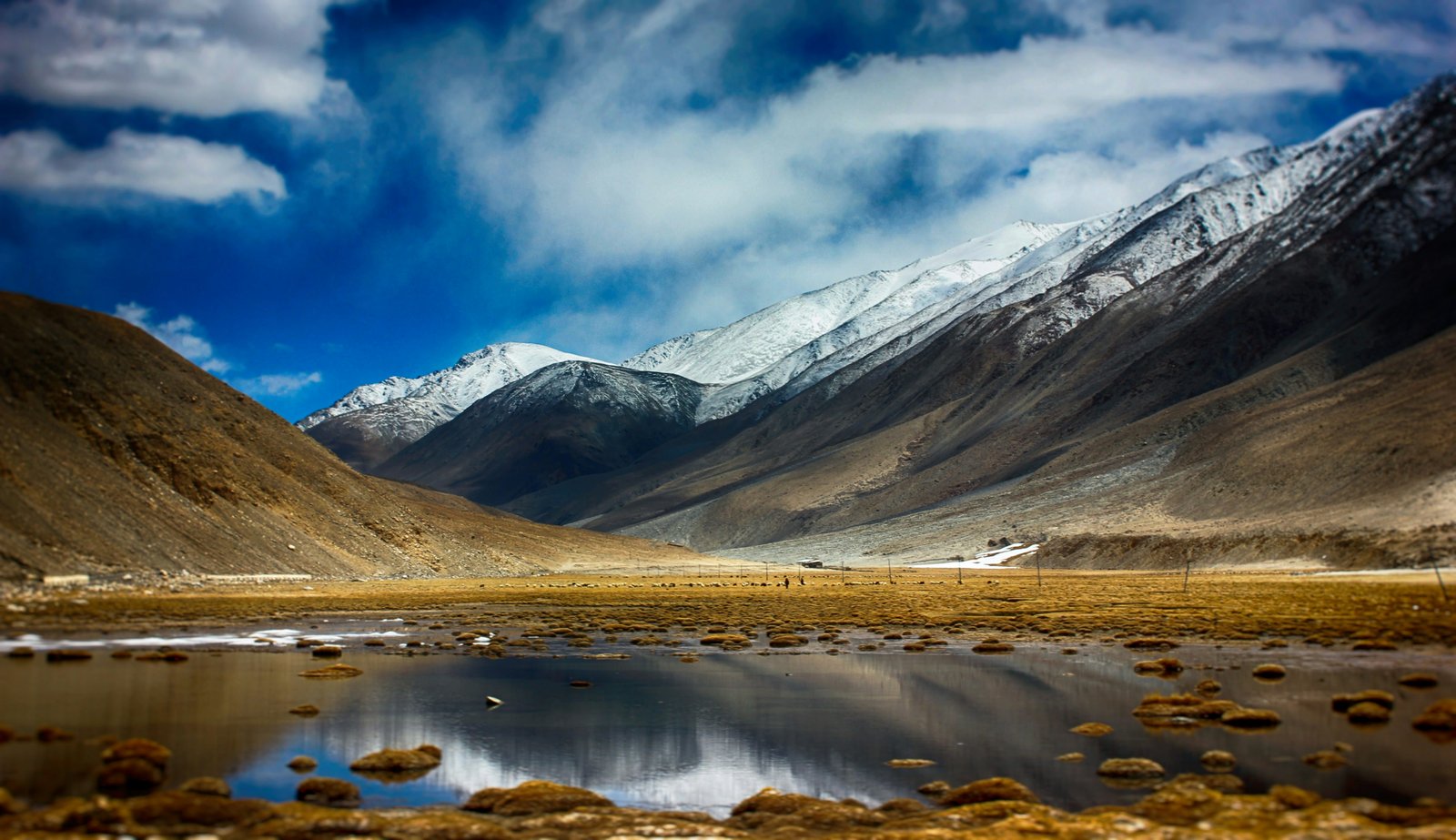Pangong Tso to Leh