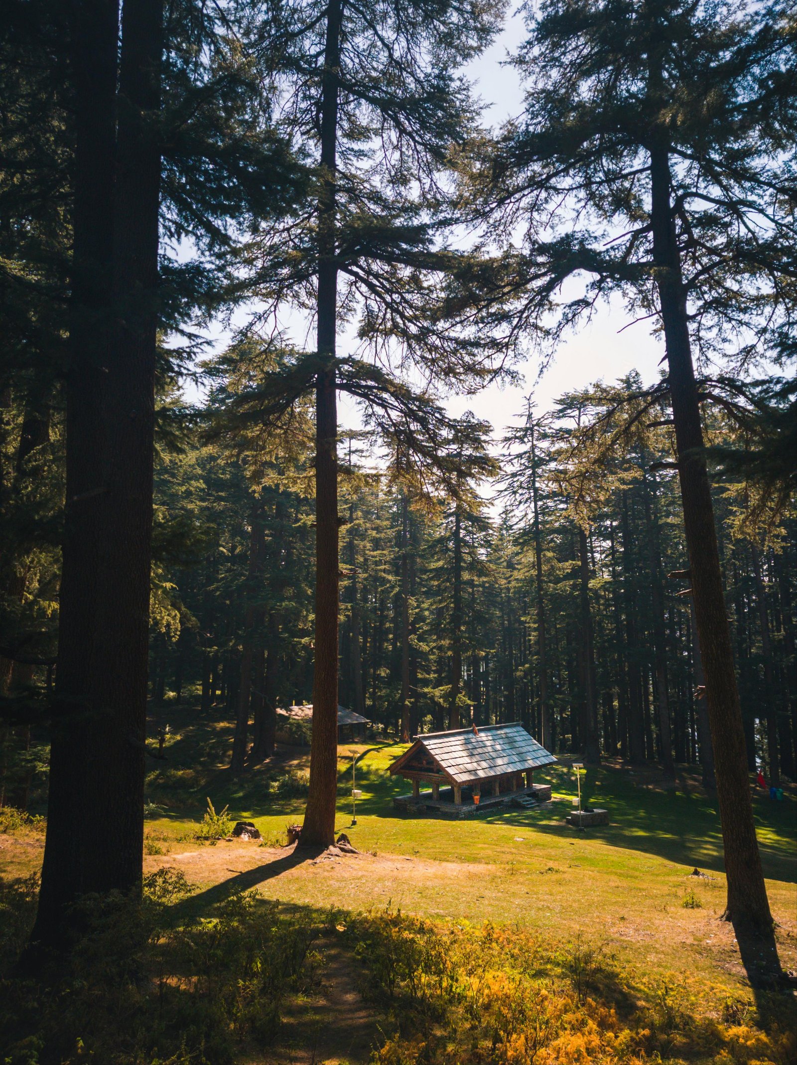 Jibhi Waterfall and Village Time photo 2