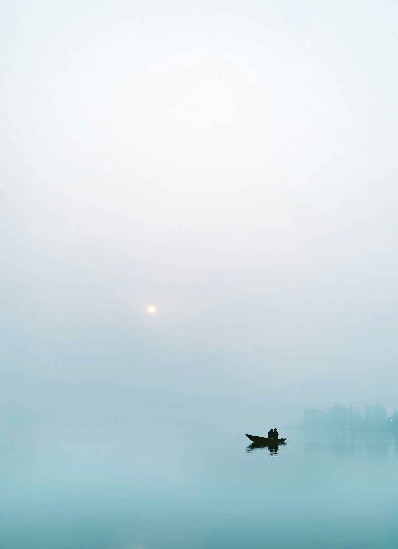 Dal Lake Houseboat Welcome photo 2
