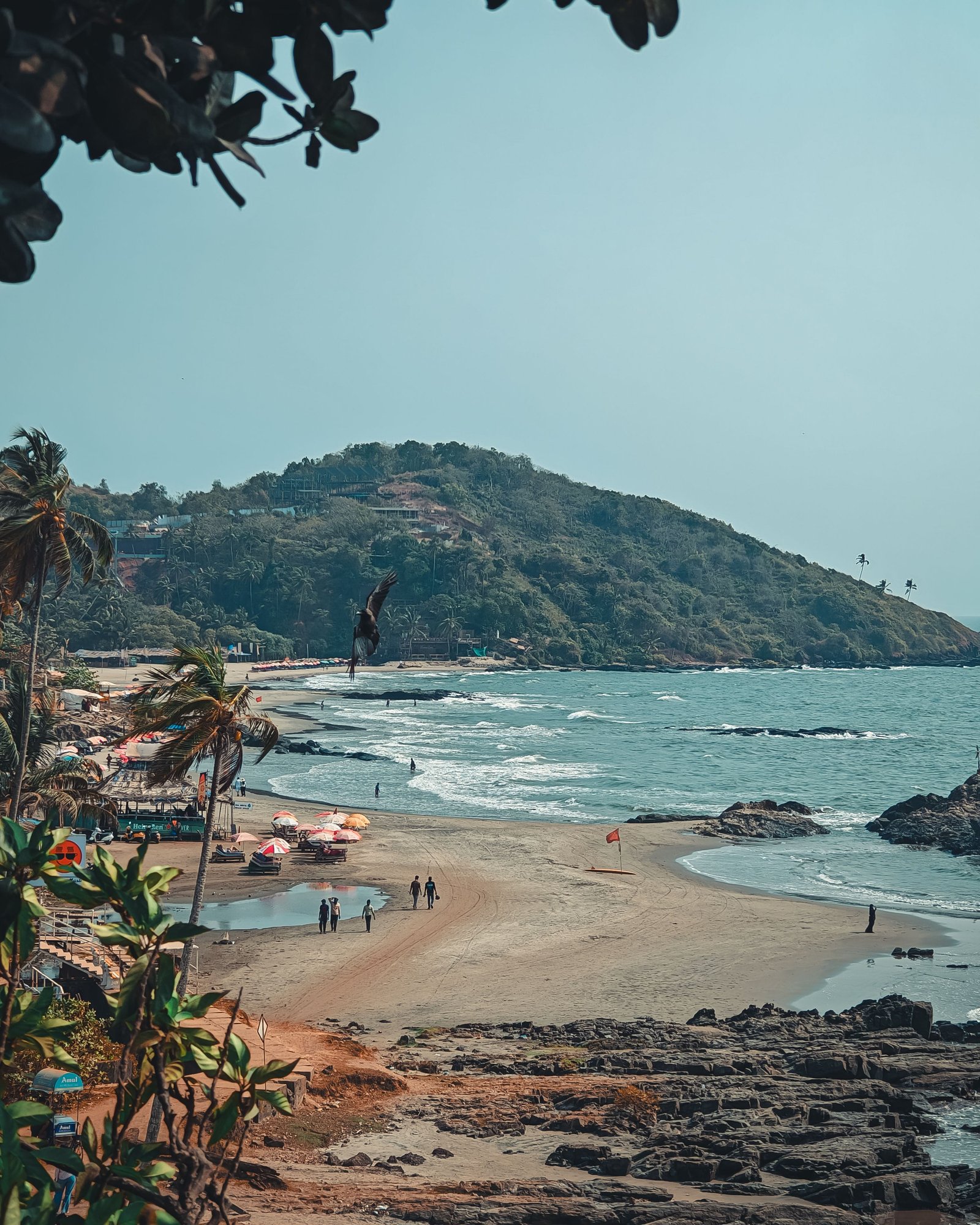 South Goa Coastal Day photo 1