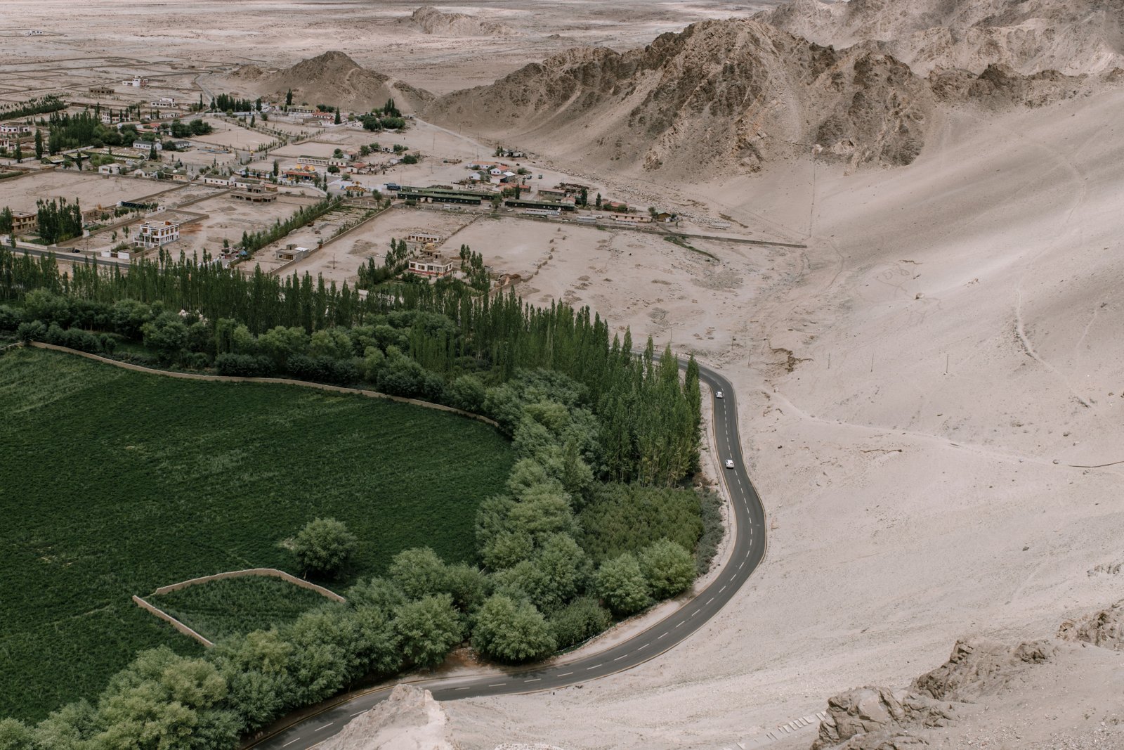 Leh Arrival and Gentle Acclimatisation photo 1