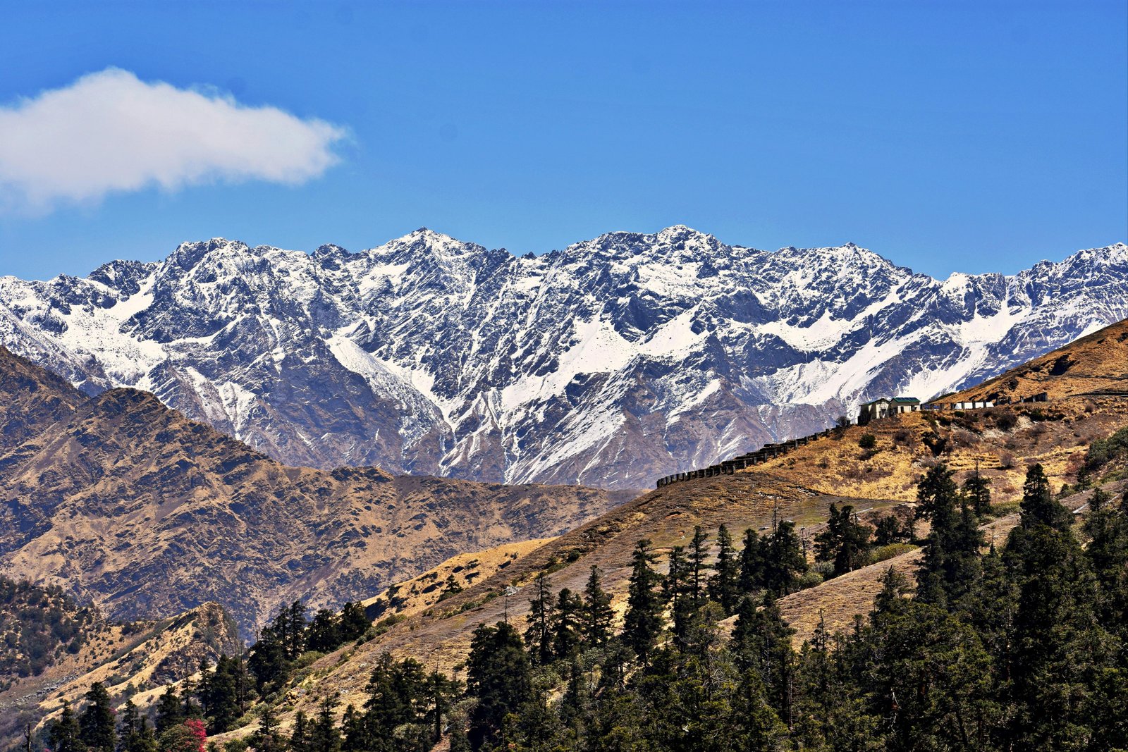 Auli Mountain Day