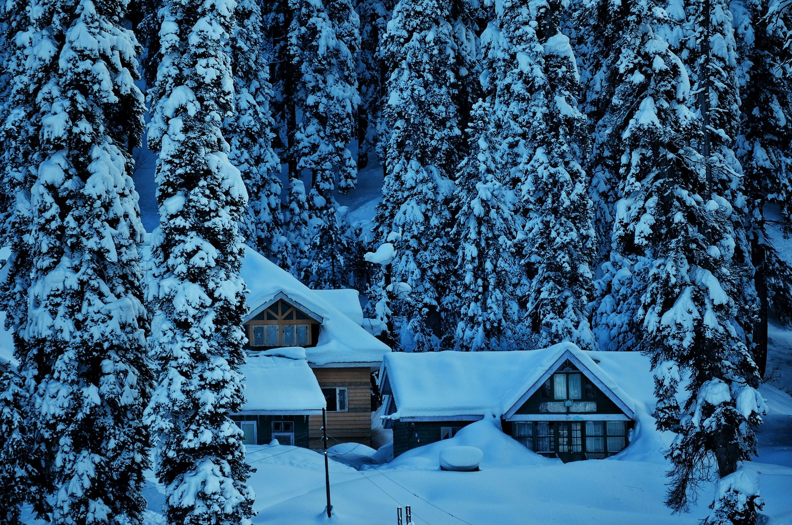 Pahalgam Winter Farewell photo 1
