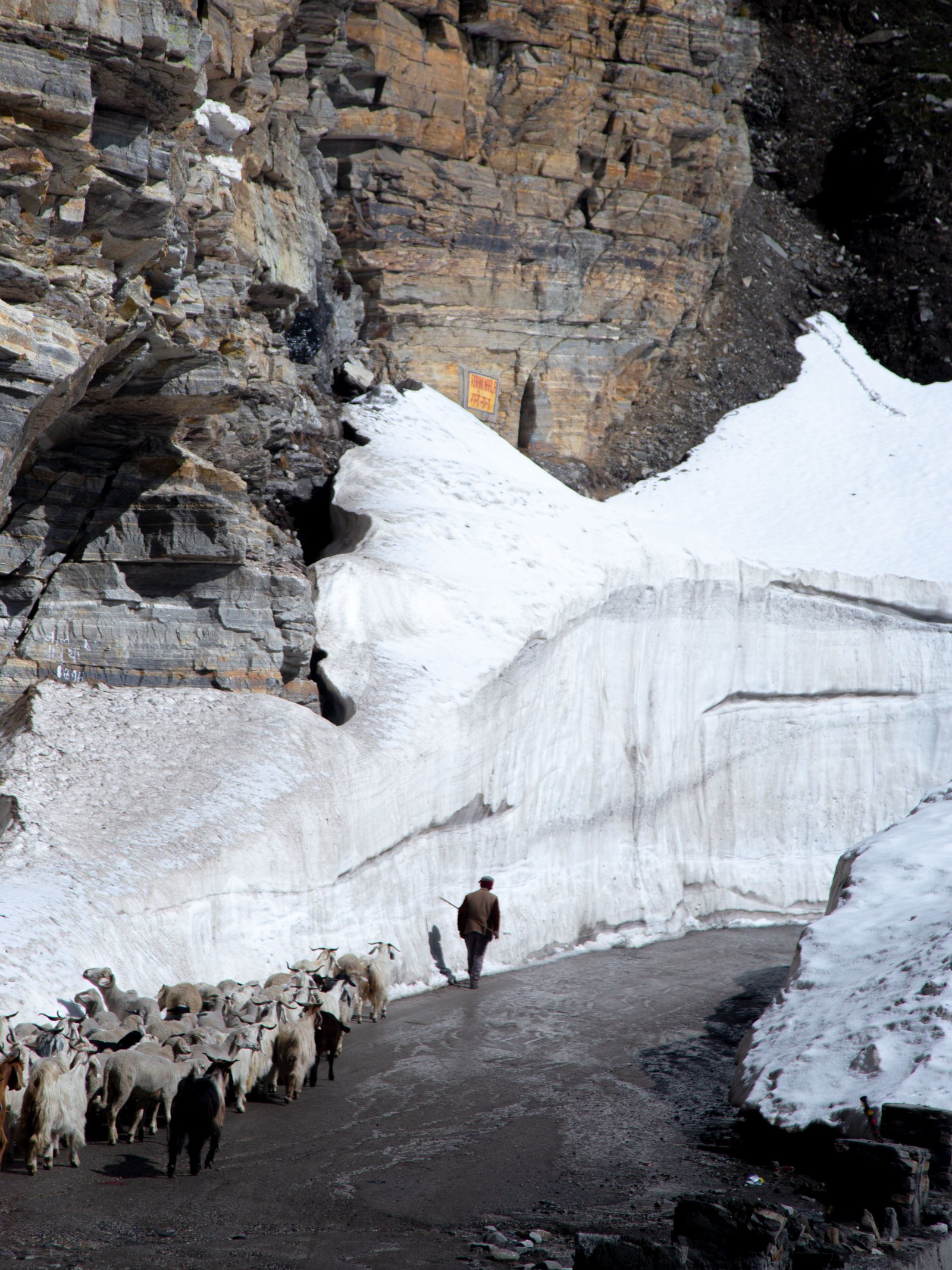 Chadar Frozen River Trek | 8 Nights 9 Days