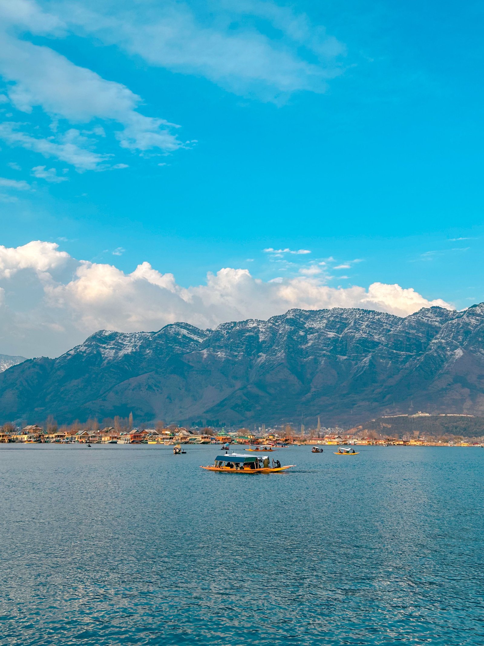 Srinagar Gardens and Old City photo 1