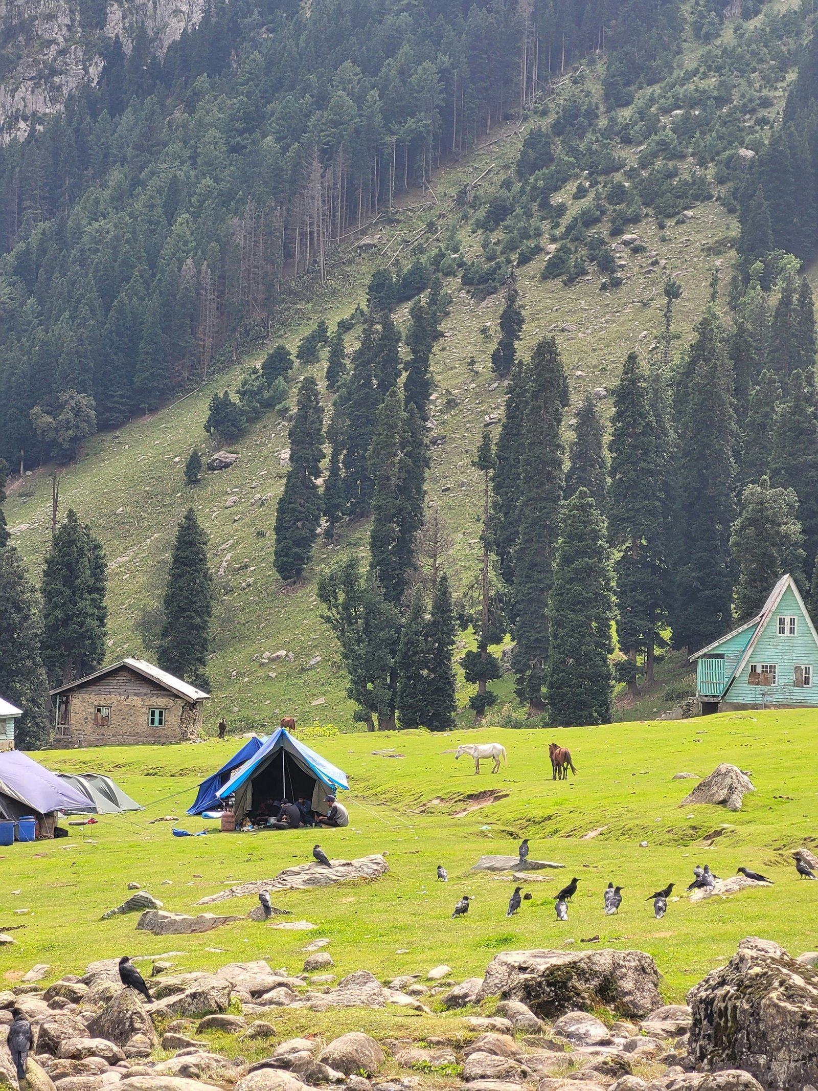 Tulail Valley Journey photo 2