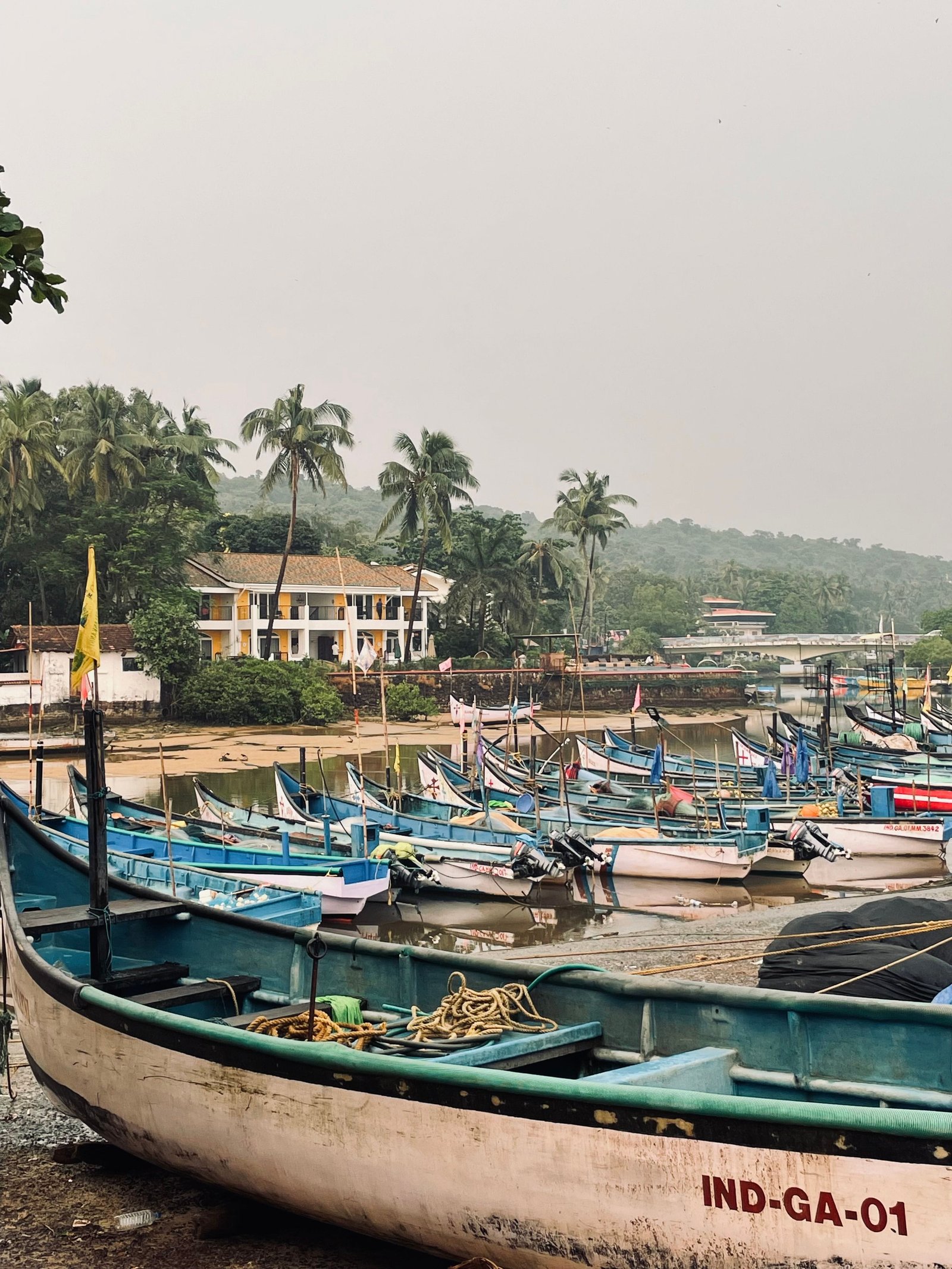 North Goa Welcome photo 1