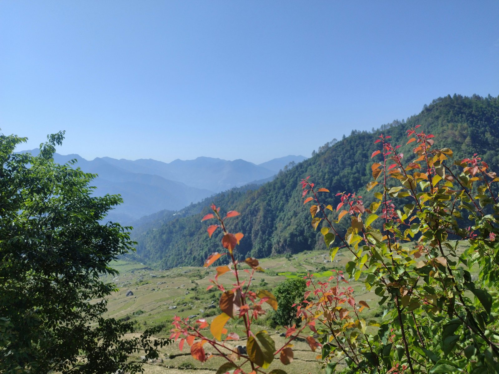 Valley of Flowers Trek photo 1