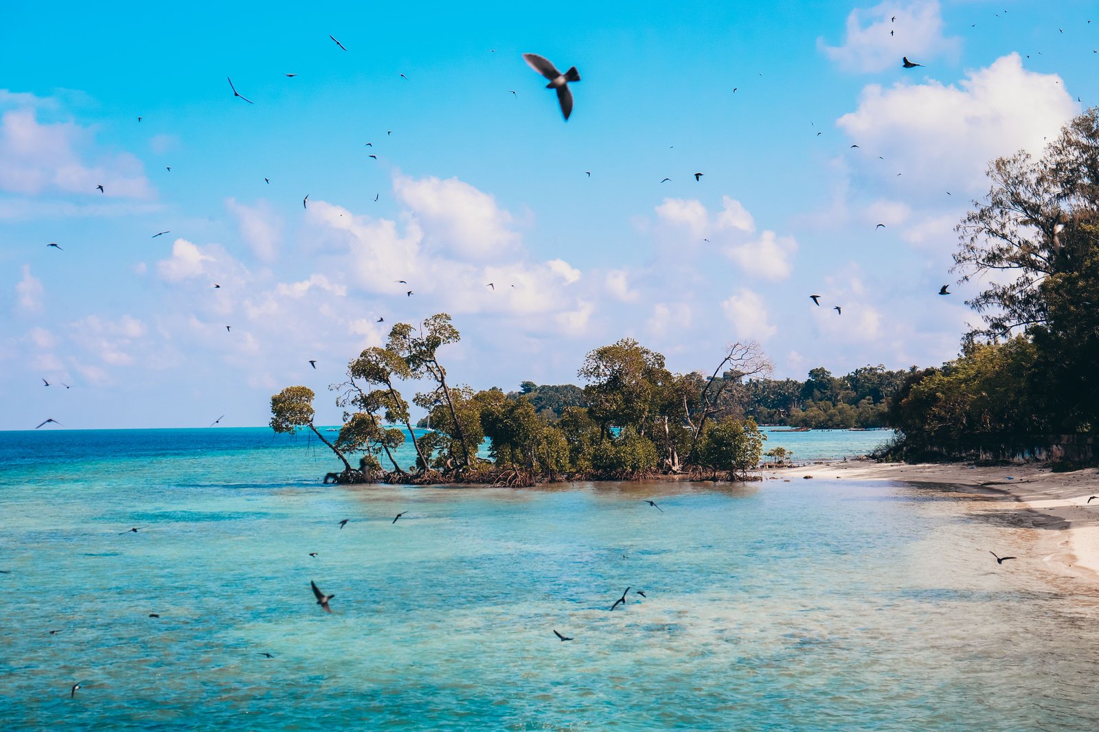 Elephant Beach Marine Day