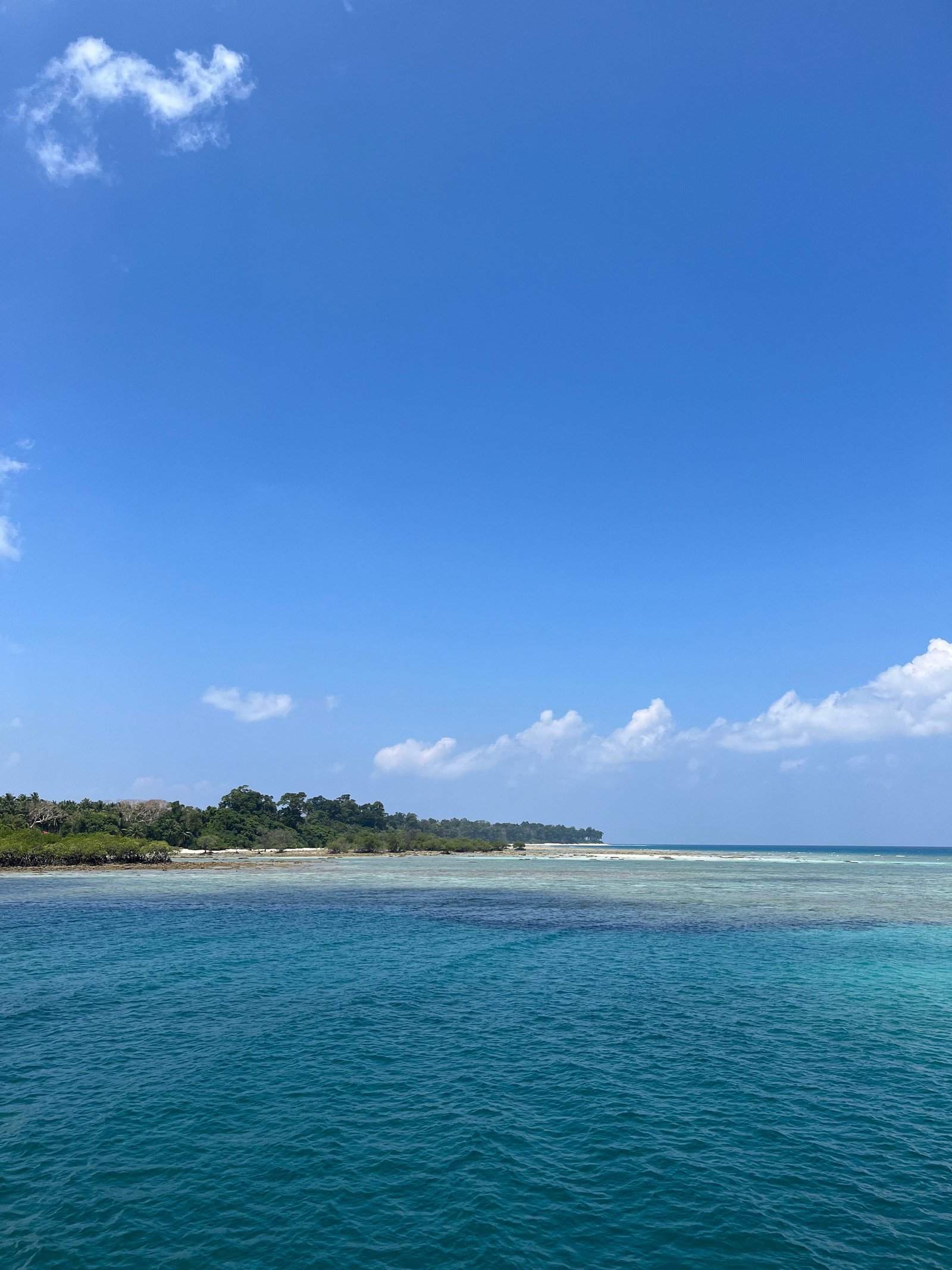 Baratang Mangroves and Limestone Cave