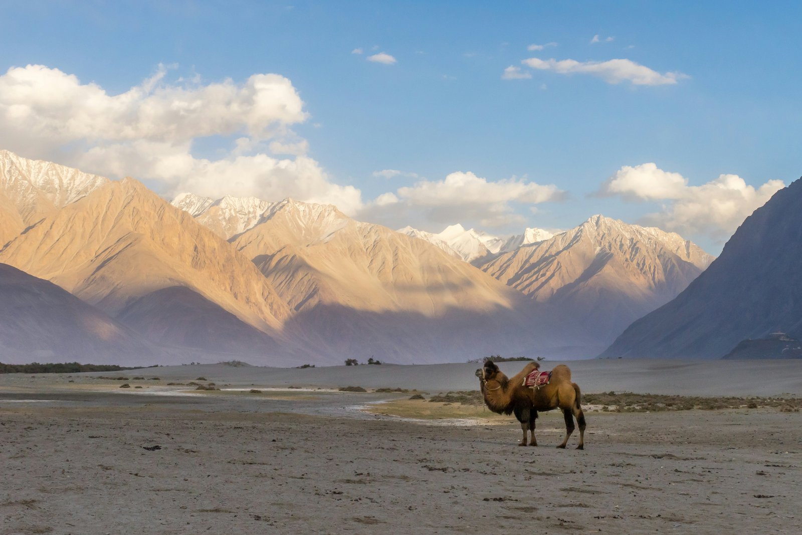 Leh to Nubra Valley photo 1