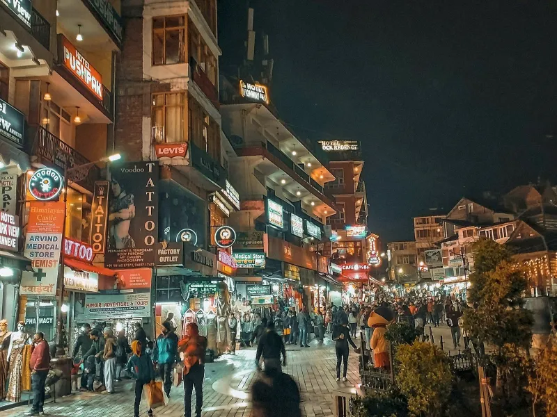 Day 2: Manali Arrival and Hadimba