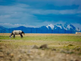 Day 8: Pangong to Tso Moriri