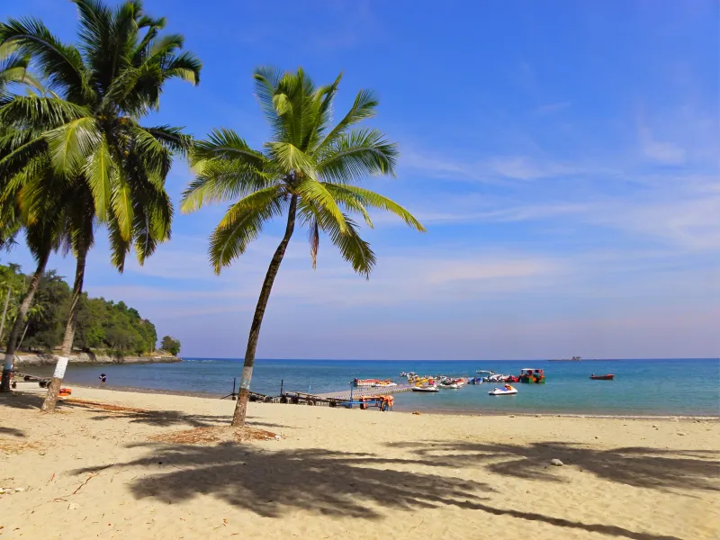 Andaman Wellness and Beach Retreat | 6 Nights 7 Days