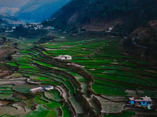 Day 4: Kausani to Ranikhet