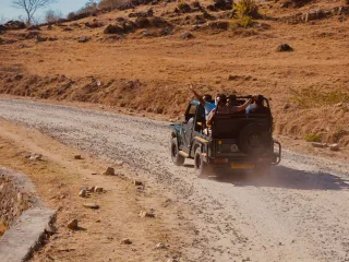 Day 6: Ranthambore to Jaipur
