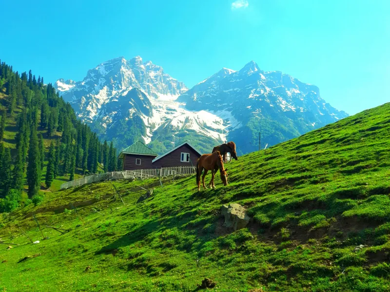 Gurez Valley Explorer | 6 Nights 7 Days