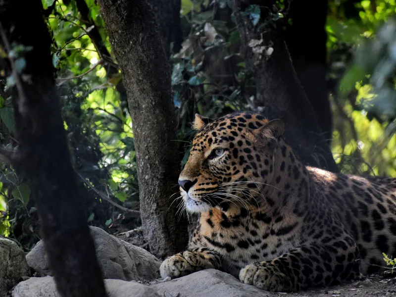 Day 1: Delhi to Corbett