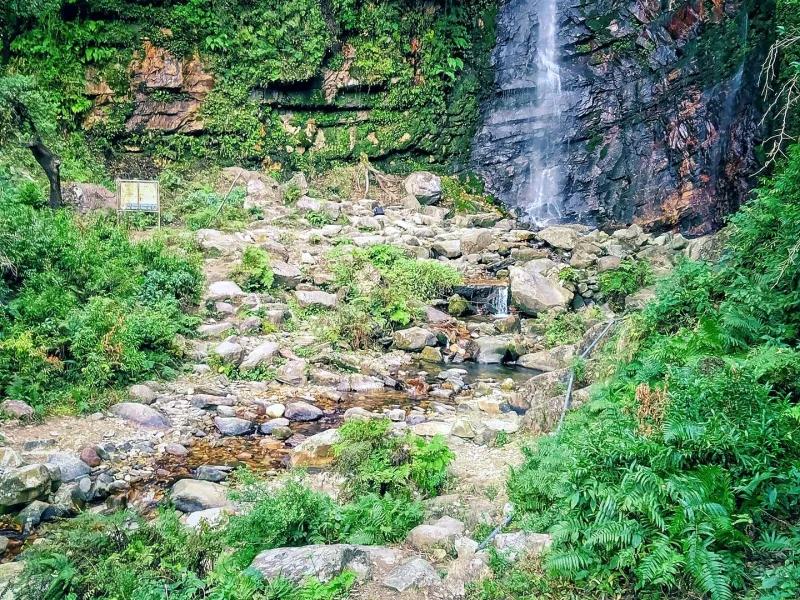 Day 2: Arrive Jibhi, Waterfall Walk