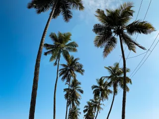 Day 3: Goan Islands and River Life