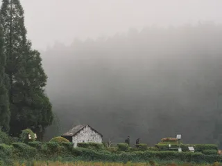 Day 6: Gangtok to Bagdogra or NJP