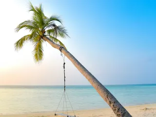 Day 4: Wellness and Quiet Beach Day