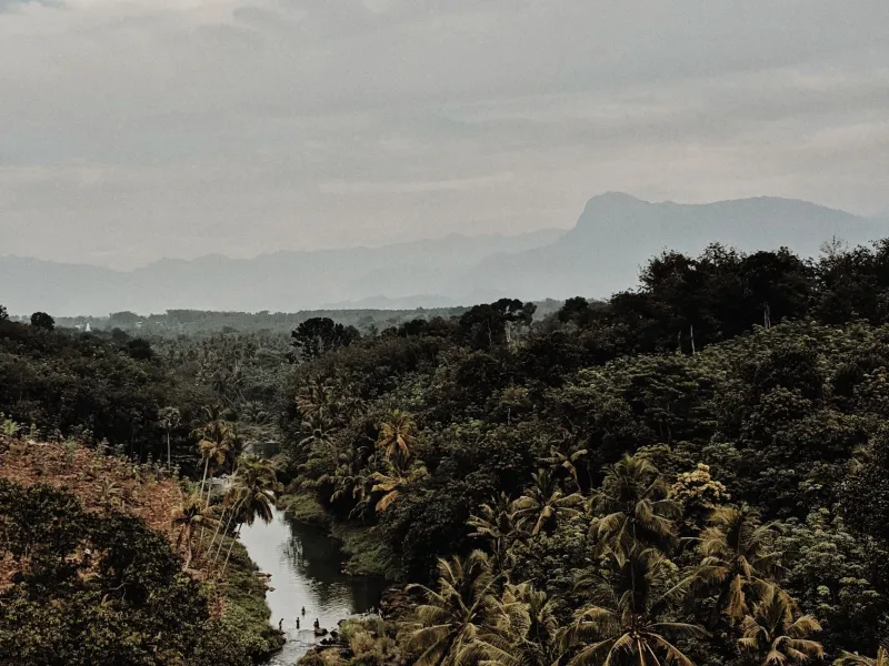 Day 2: Wayanad Heritage Day