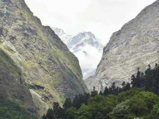 Day 3: Valley of Flowers Trek