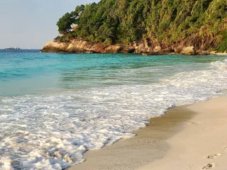 Day 5: Elephant Beach Marine Day