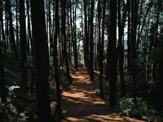 Day 2: Vagamon Exploration