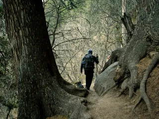 Day 3: Barshaini to Kheerganga Trek
