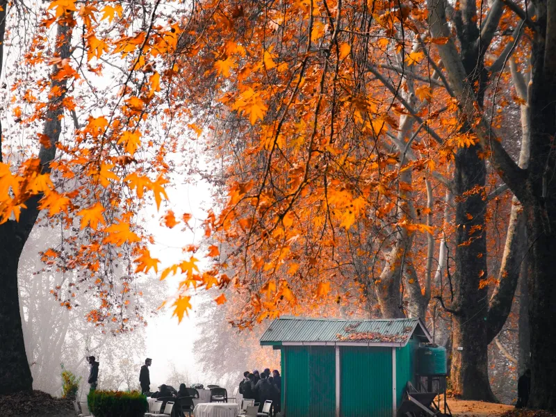 Day 1: Srinagar Airport to Dal Lake