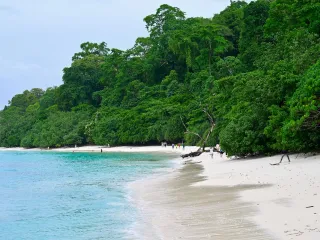 Day 3: Elephant Beach Marine Day