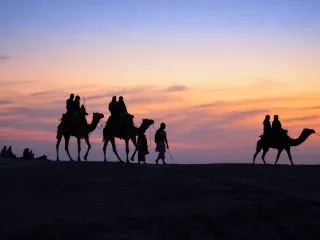 Day 6: Jaisalmer Living Fort