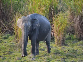 Day 3: Bhalukpong to Dirang