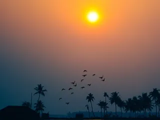 Day 8: Trivandrum Sightseeing → Departure