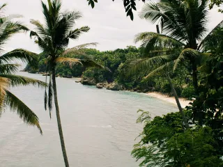Day 4: North Goa Farewell