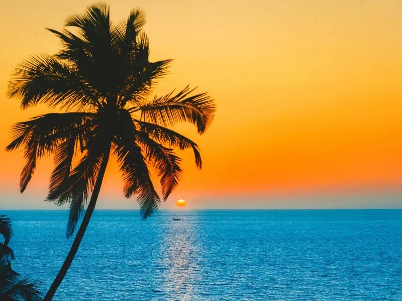 Romantic Goa Honeymoon | 4 Nights 5 Days