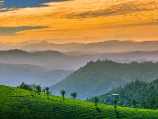 Day 4: Wayanad to Kozhikode