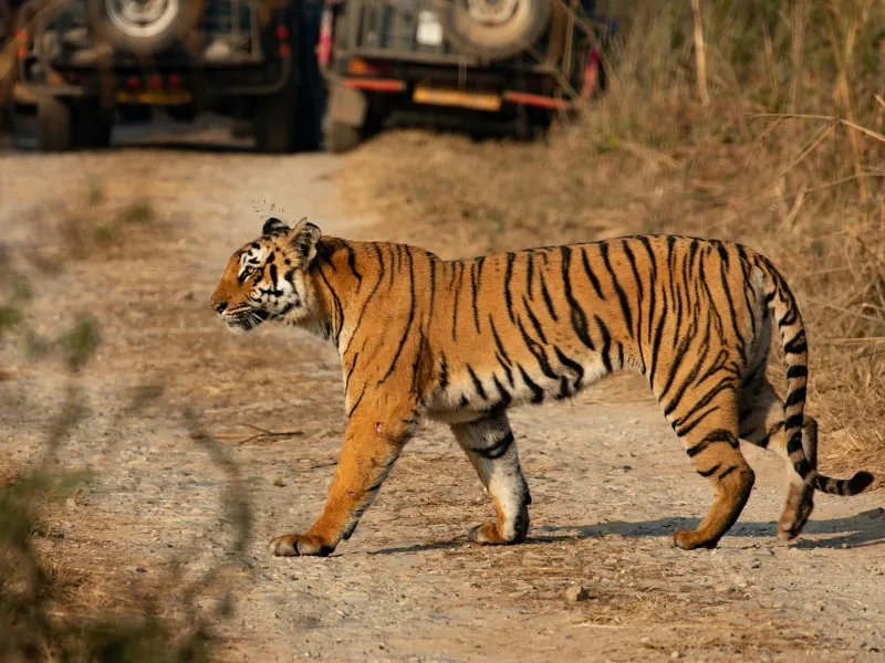 Day 1: Delhi to Corbett