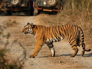 Day 3: Nainital to Corbett