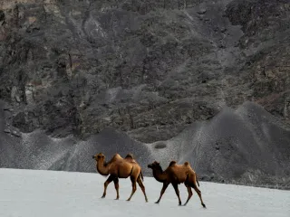 Day 3: Leh to Nubra Valley