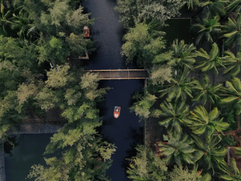 Wayanad Nature Escape | 3 Nights 4 Days