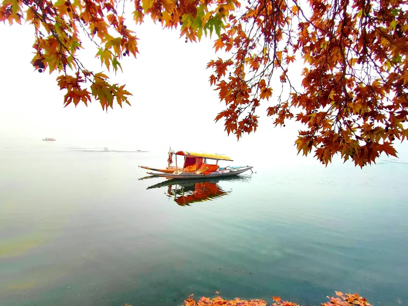 Romantic Kashmir Honeymoon Retreat | 5 Nights 6 Days